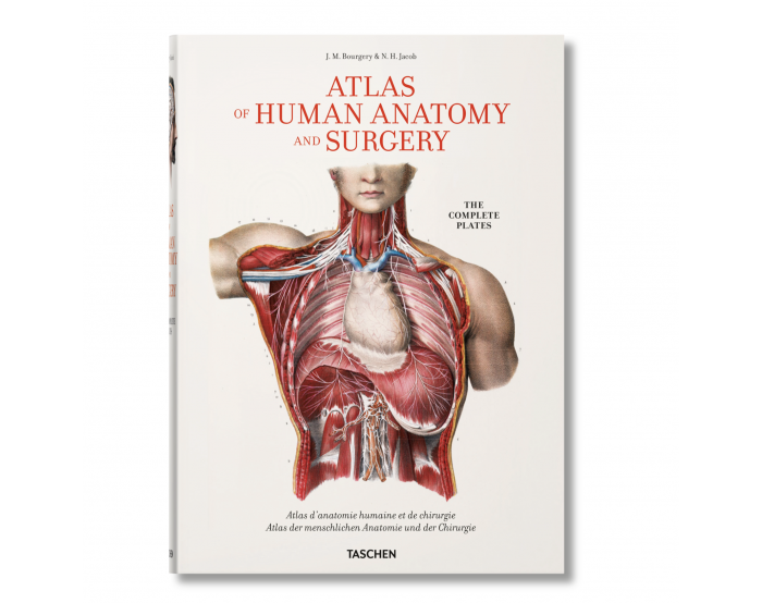 Bourgery. Atlas of Human Anatomy and Surgery