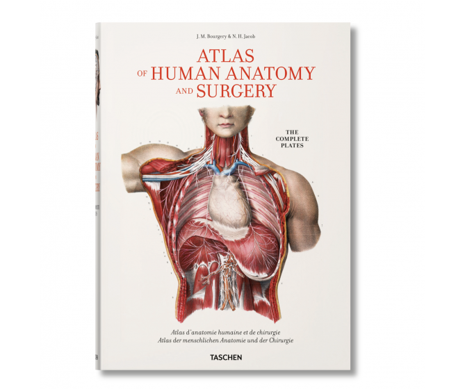 Bourgery. Atlas of Human Anatomy and Surgery