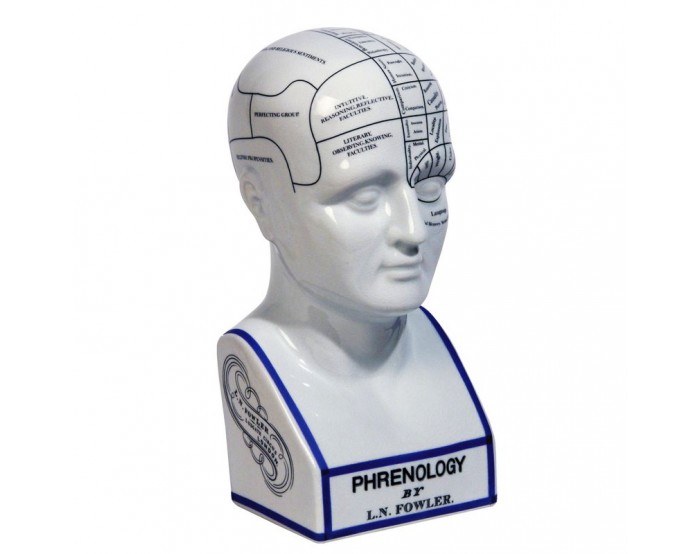 Phrenology Head