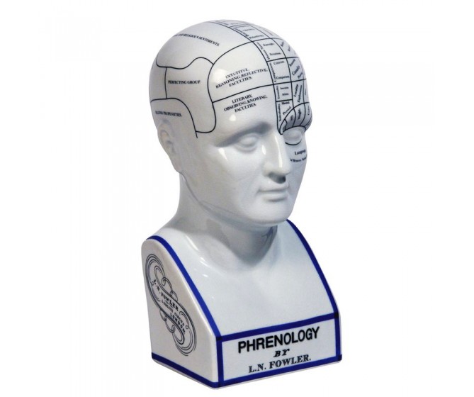 Phrenology Head