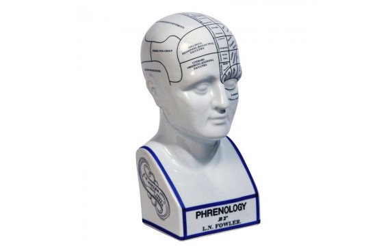 Phrenology Head