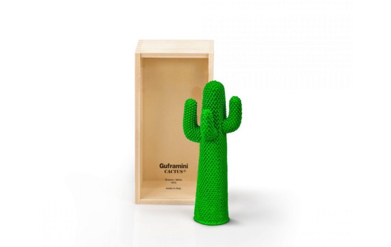 Guframini Cactus