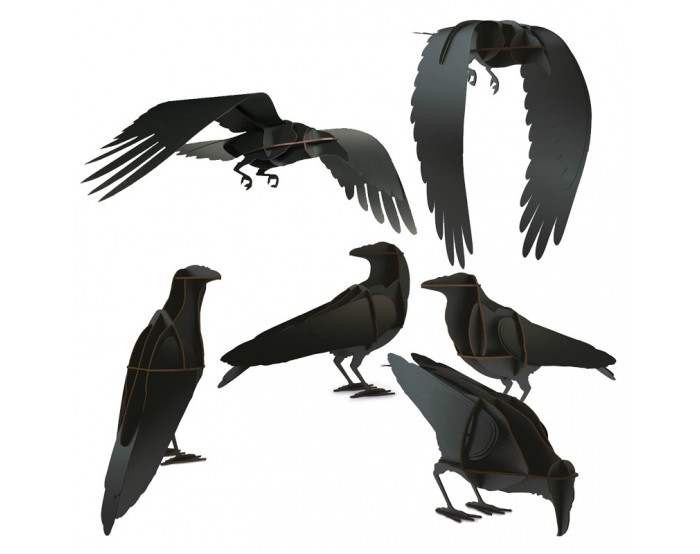 The Ravens