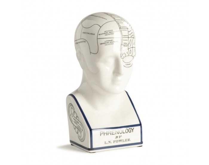 Phrenology Head