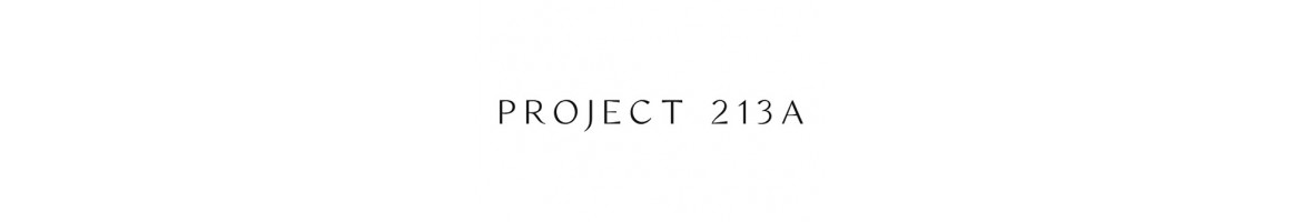 Project 213A