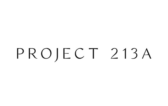 Project 213A